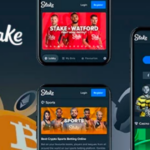 Best Stake Casino Alternatives