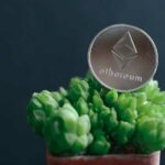 Salus Unveils ZK Apps: Transforming Ethereum