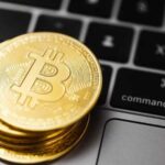 Seven unmistakable signs of Bitcoin's soaring global momentum