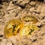 Grayscale's Bitcoin Holdings Drop 33% After ETF Conversion