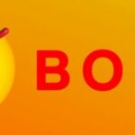 BONK Price Rallies 12% Today As Whale Activity Boosts Momentum
