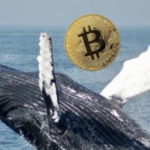 Dormant Whale Moves $61M in BTC to Coinbase, Influencing Market Trends