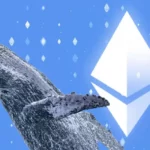 Ethereum Whales Active After SEC's Favorable Decision