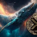 Is the Spike in XRP Whales Hitting a Six-Month Peak a Bullish Indicator?
