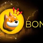 BONK Anticipates a Decline as Meme Coin Mania Fades