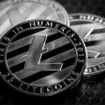 Whale Investors Drive Over $2 Billion in Litecoin Transactions: What it Means for LTC Price?