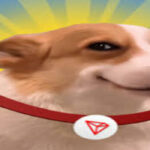 Is It Too Late to Buy SUNDOG? Sundog Price Surges 38% as Token Launches Soar