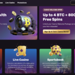 Playbet.io Casino Review