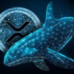 Whale Moves 95 Million XRP to Binance – What’s Next for XRP?