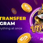 Crypto Casinos that Offer VIP Status Transfer