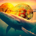 Dormant Whale Reawakens After 6 Months, Acquires an Additional 250 BTC