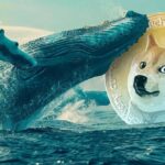 Whales Accumulate 140 Million Dogecoin Amid Price Drop