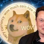 Dogecoin Set to Reach All-Time High as Elon Musk Says "DOGE Has Real Potential"
