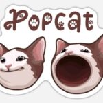 Popcat Price Skyrockets 21% Following Coinbase Listing - Bulls Eye $1