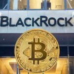 BlackRock CEO Calls Bitcoin a Digital Gold and Safe Investment